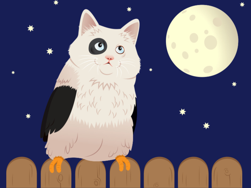 Cat Bird illustration
