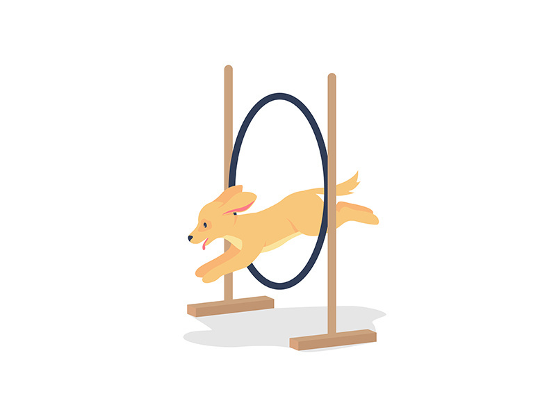 Golden spaniel jumping through hoop flat color vector detailed character