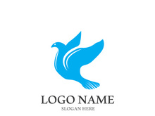 Dove bird logo vector design illustration