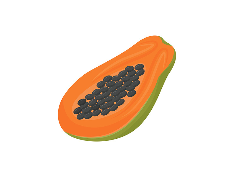 Papaya cartoon vector illustration