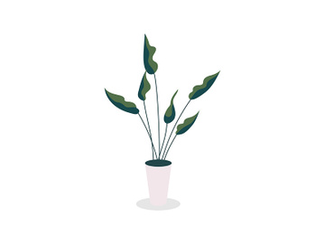 Houseplant flat color vector object preview picture