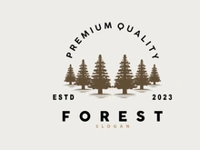 Forest Logo, Vector Forest Wood With Pine Trees Design