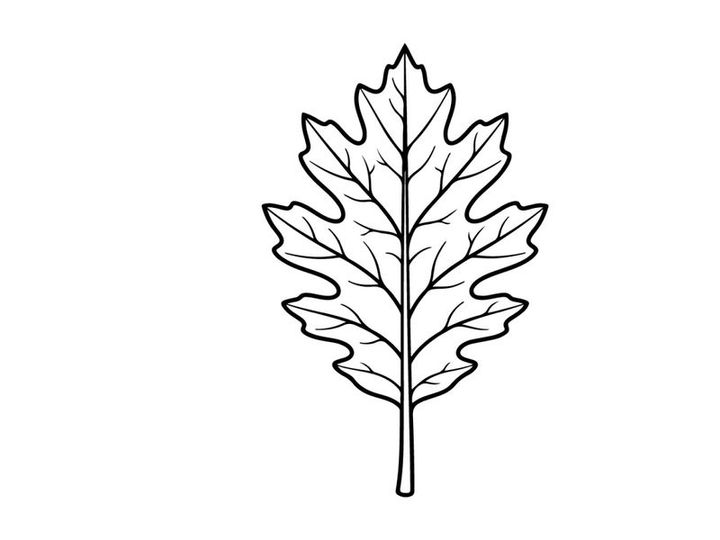 Ilustração detalhada de folha para design botânico. Elemento natural de alta qualidade para projetos criativos.