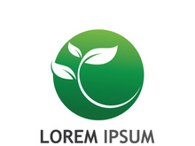 Natural green leaf logo design.
