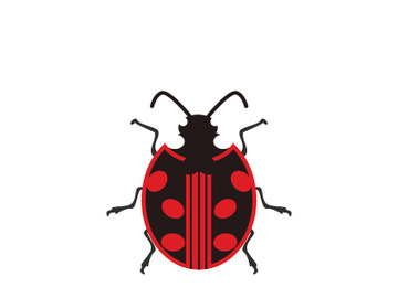 ladybird animal  vector logo symbol icon preview picture