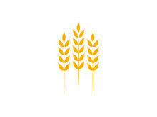 Agriculture wheat rice icon illustration