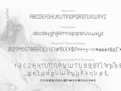 Trellacotte Modern Sans Serif Fonts