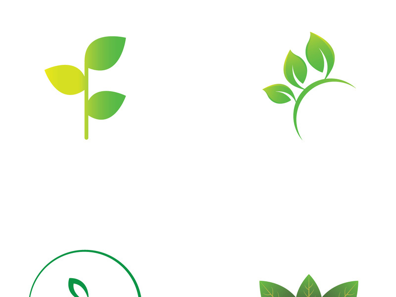 Natural green leaf logo design.