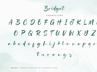 Bridget - Modern Script Font