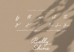 Belly Shine | Handwritten Script Font
