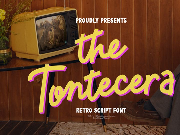 Tontecera | Retro Script Font