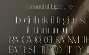 Fracture - Serif Font