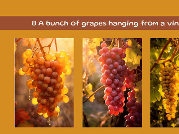 A bunch of grapes hanging from a wine preview picture