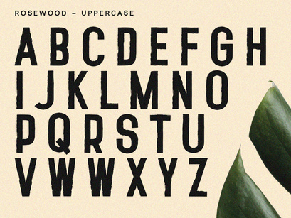 Rosewood - Sans Serif Font