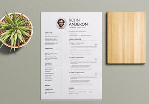 Clean Resume Template