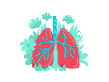 Anatomical lung flat concept vector illustration preview picture