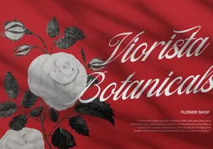 Filagio Vilantio | Classic Elegant Script