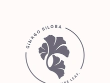 Ginkgo leaf biloba logo nature. Healthy ingredient that is used in medicine for disease treatment with line art style design