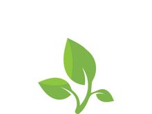 Logos of green tree leaf ecology nature element vector