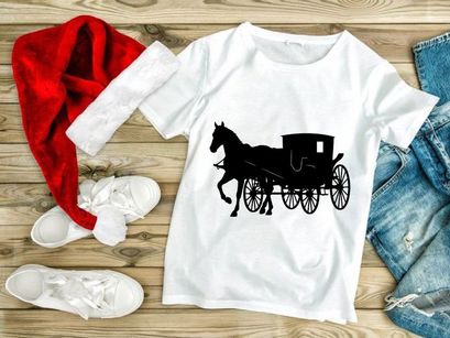 Elegant Horse Pulled Carriage Classic