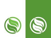 Logos of green tree leaf ecology nature element vector