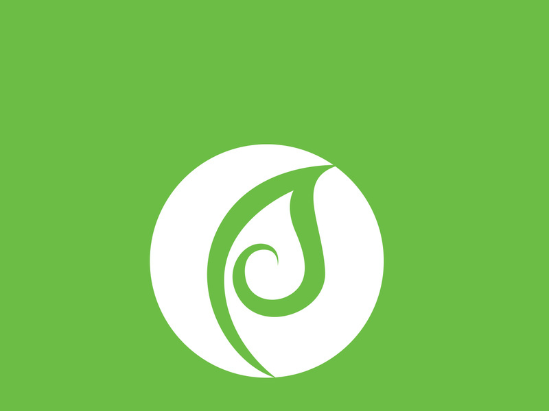 Leaf logo green nature vector image