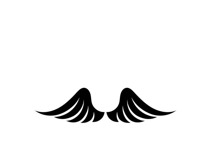 Wing illustration logo and symbol vector