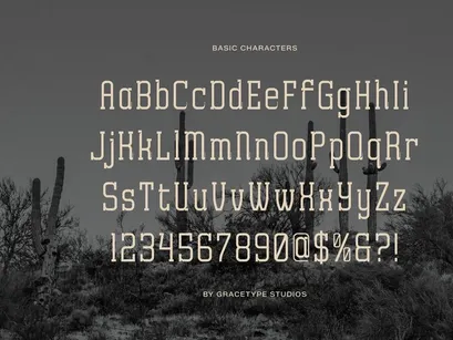 Archives Classic | Slab Serif Font