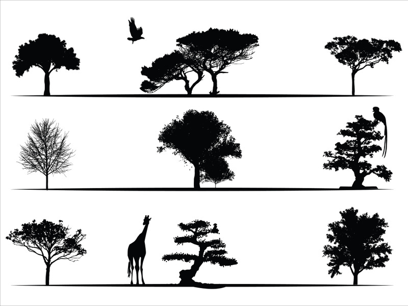 Trees Silhouettes Collection