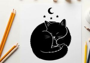 Sleeping cat silhouette under starry night sky