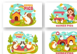 12 Guinea Pig Pets Illustration