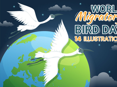 14 World Migratory Bird Day Illustration