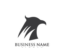 Falcon Eagle bird Logo Template vector illustration design
