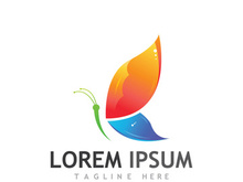 Beautiful and colorful butterfly creative logo design.