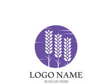 Fresh lavender flower logo vector flat design