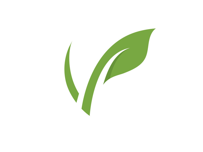 Vegan leaf green eco logo nature