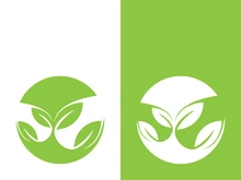 Green tree leaf nature logo images illustration design