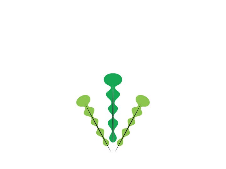 seaweed vector illustration template