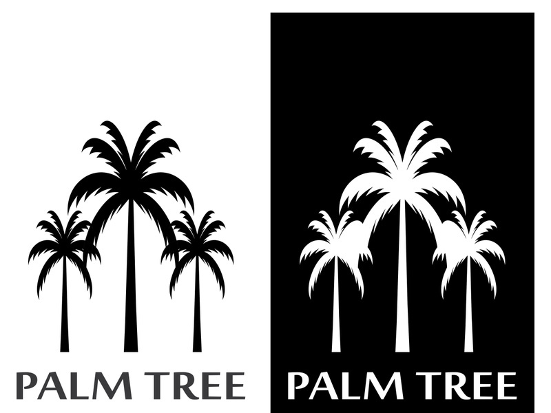 Palm tree summer logo design with creative ideas.