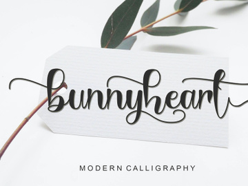 Bunnyheart - Modern Calligraphy preview picture