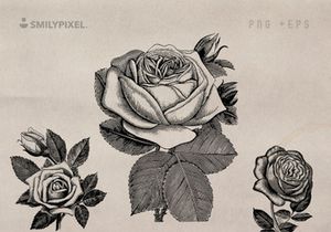 Free Vintage Roses Illustration