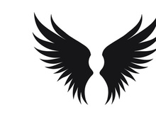 black bird wing logo vector