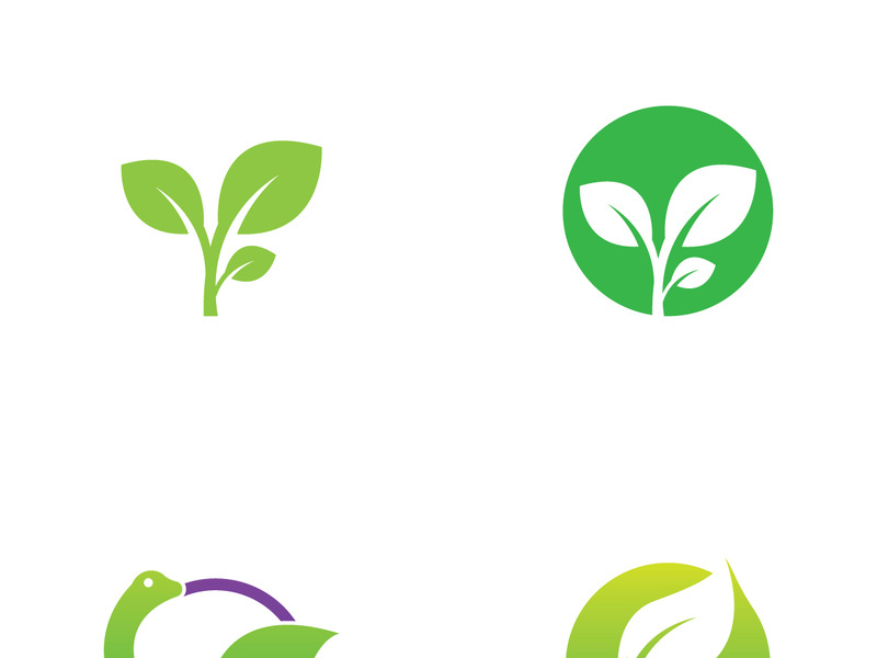 Natural green leaf logo design.