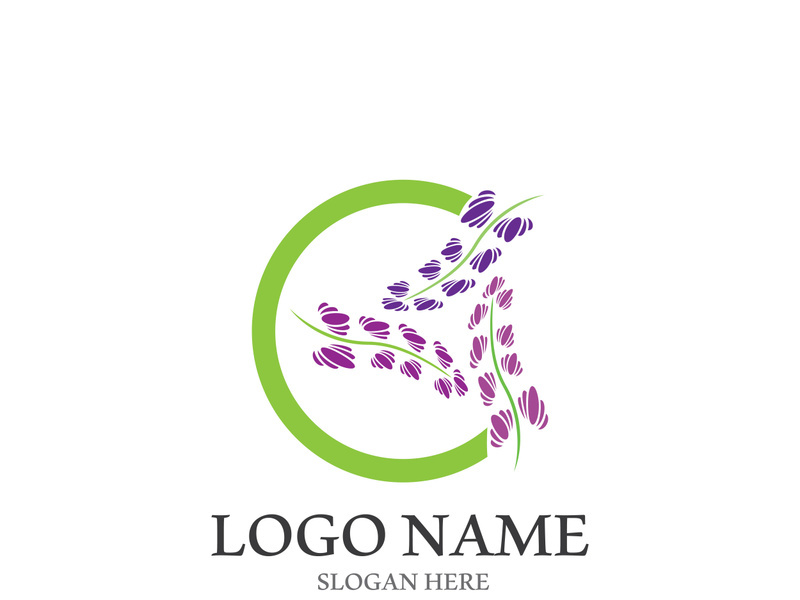 Lavender flower vector icon illustration design template