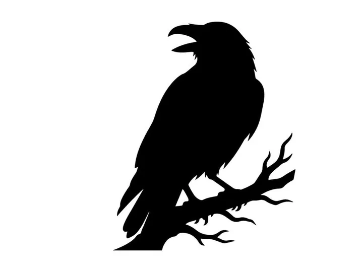 Black Raven Perched on Tree Branch for Dark Nature Scene