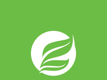 Leaf logo green nature vector image