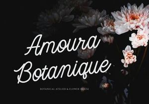 Jenaka | Monoline Script