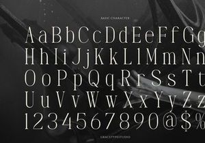 Dennya | Display Serif Font