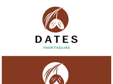 Date palm fruit plant logo design with leaves,seeds and date palm tree isolated background exotic organic plant.