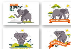 10 World Elephant Day Illustration